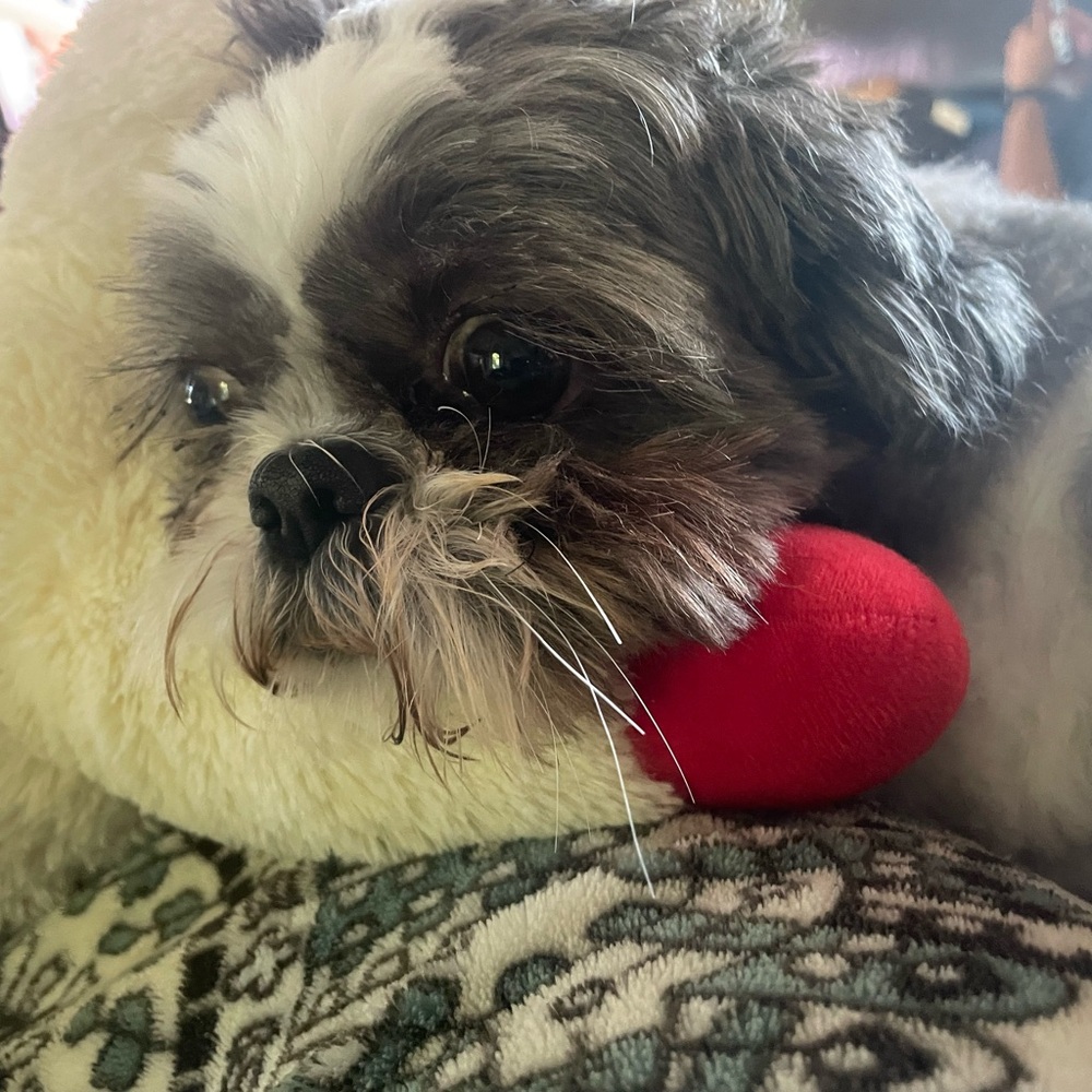 Meet your Posher, vwallen